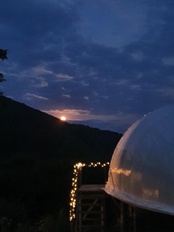 Sunrise Glamping Retreat 호텔 Galesu 외부 사진