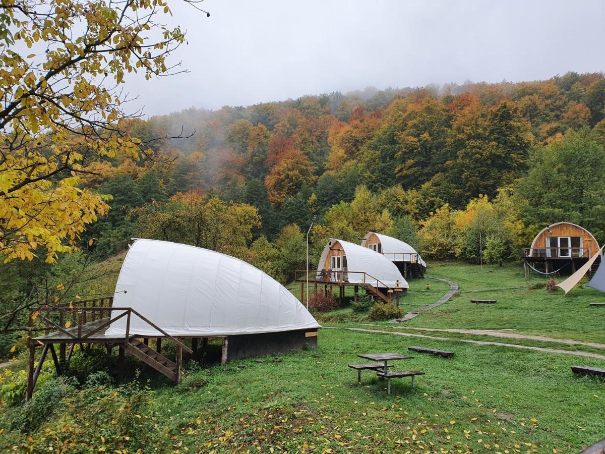 Sunrise Glamping Retreat 호텔 Galesu 외부 사진