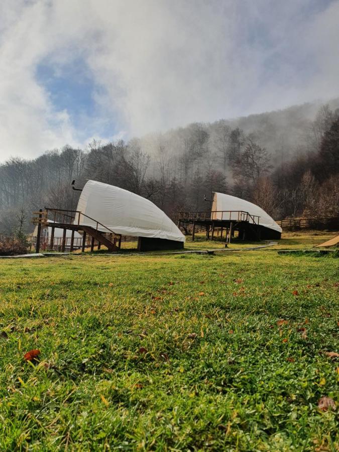 Sunrise Glamping Retreat 호텔 Galesu 외부 사진